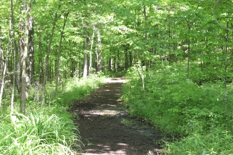cherry_hill_nature_preserve_walking_path